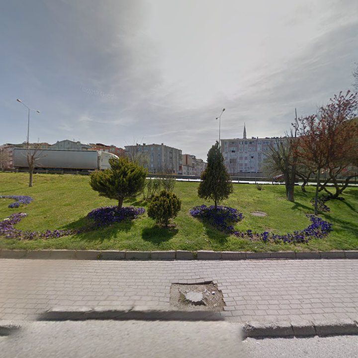 Fotoğraf 10