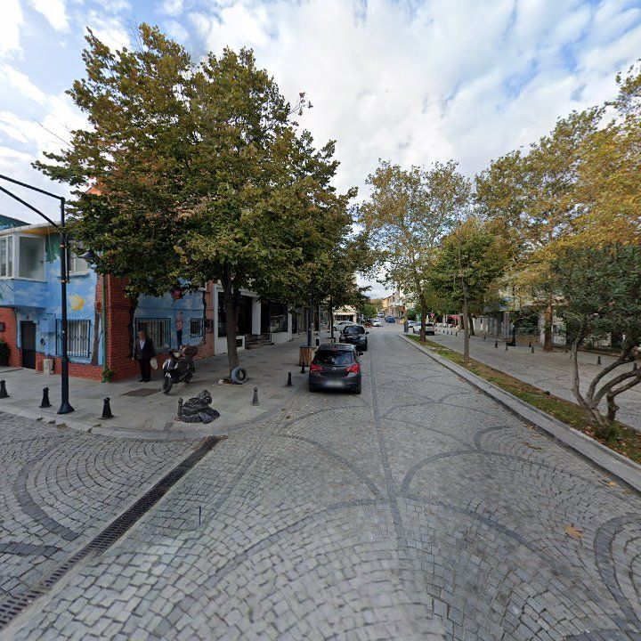 Fotoğraf 7