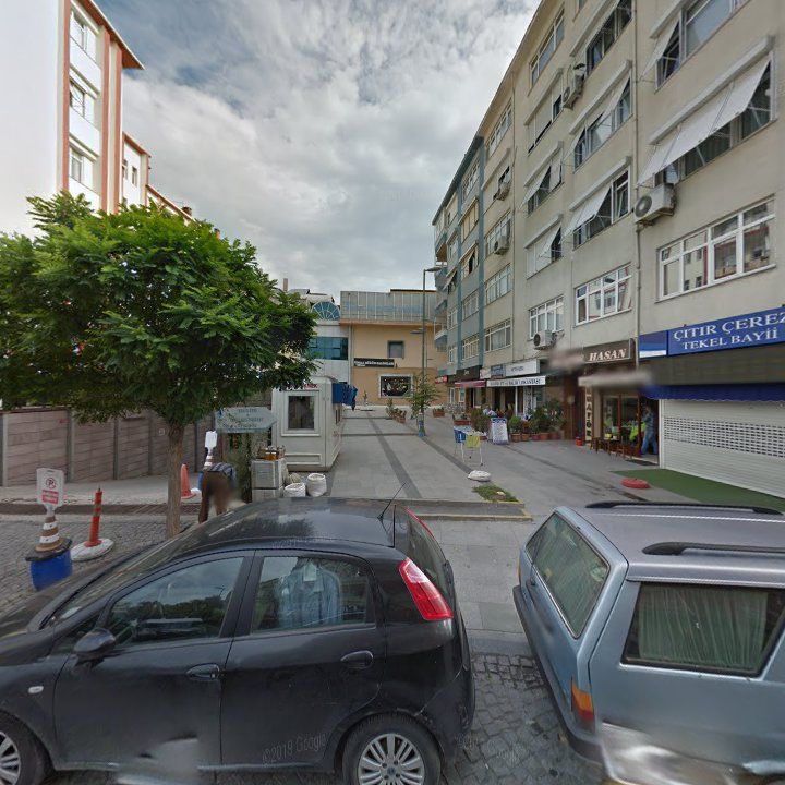 Fotoğraf 11