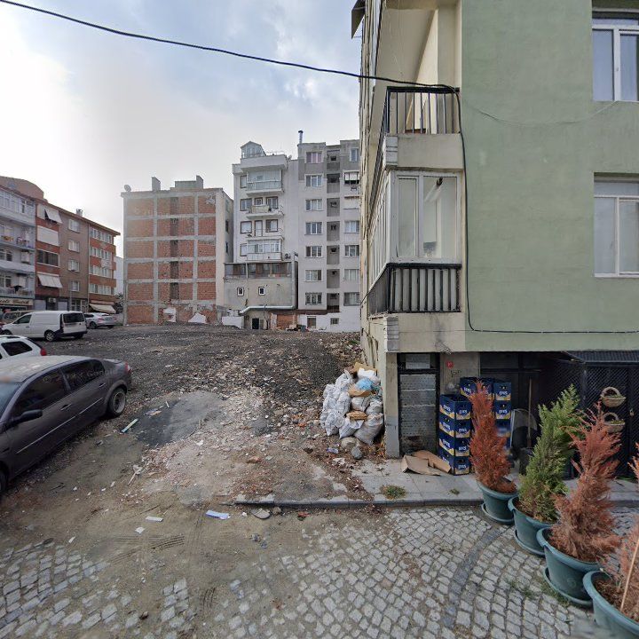 Fotoğraf 12