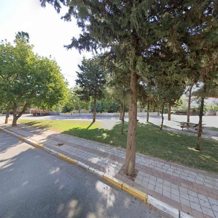 Fotoğraf 7