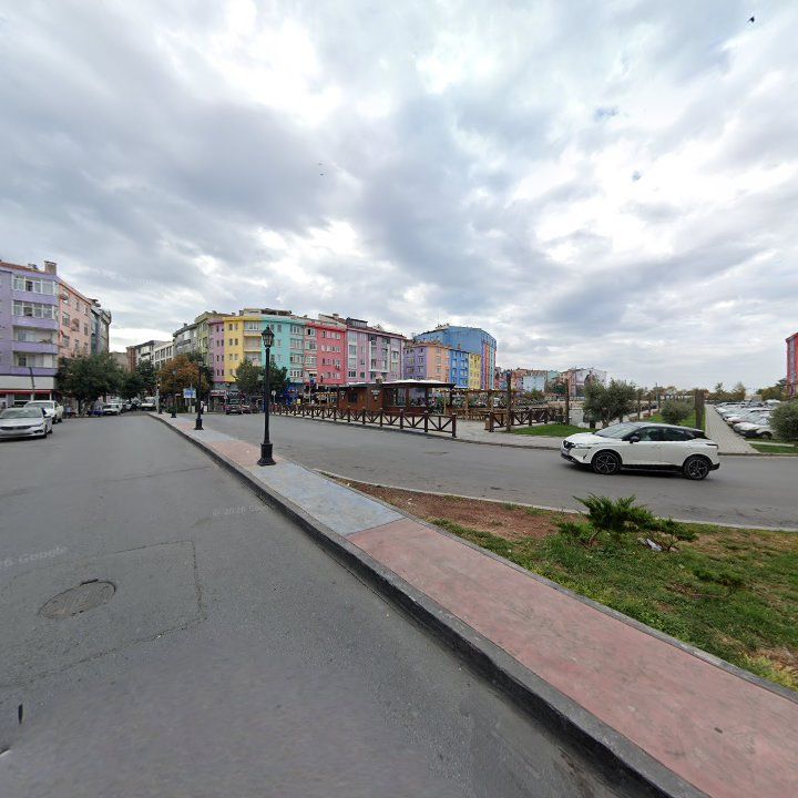 Fotoğraf 9