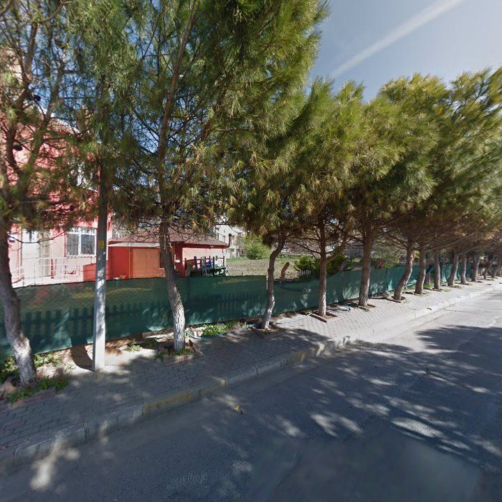 Fotoğraf 11