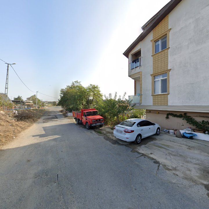 Fotoğraf 7