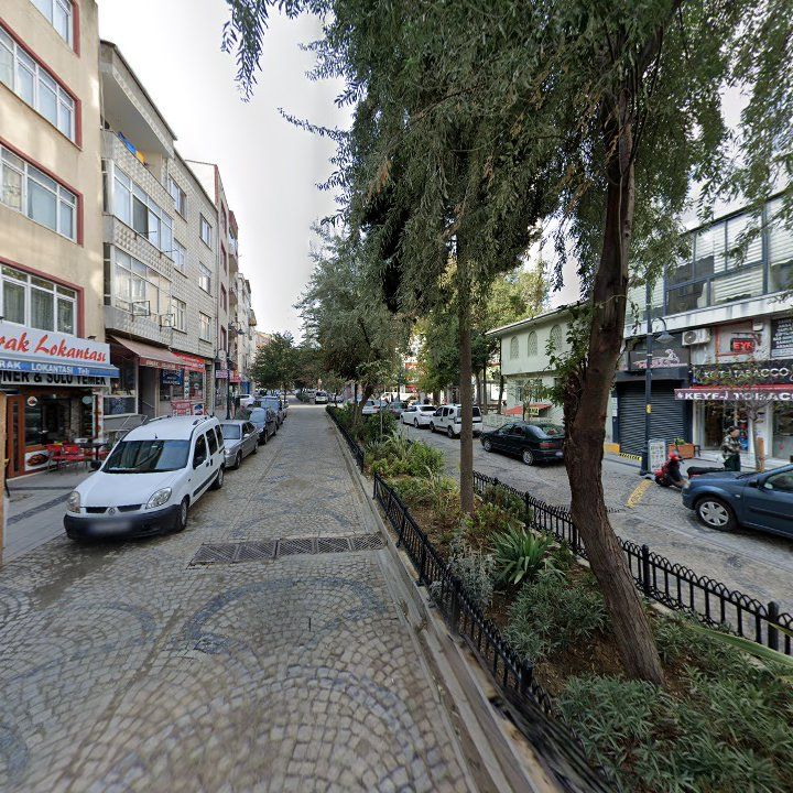 Fotoğraf 10