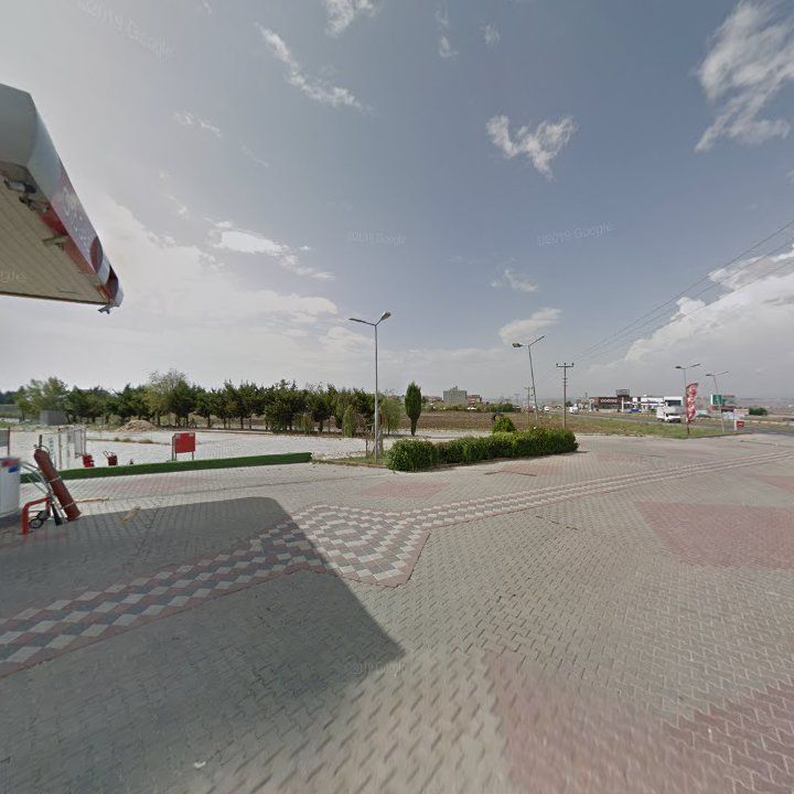 Fotoğraf 9