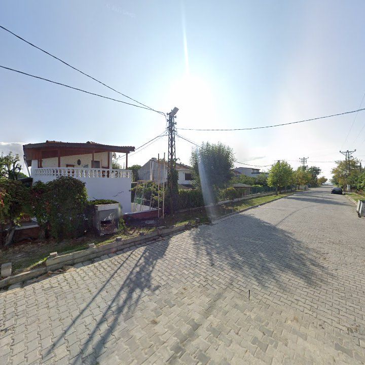 Fotoğraf 7