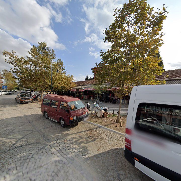 Fotoğraf 11