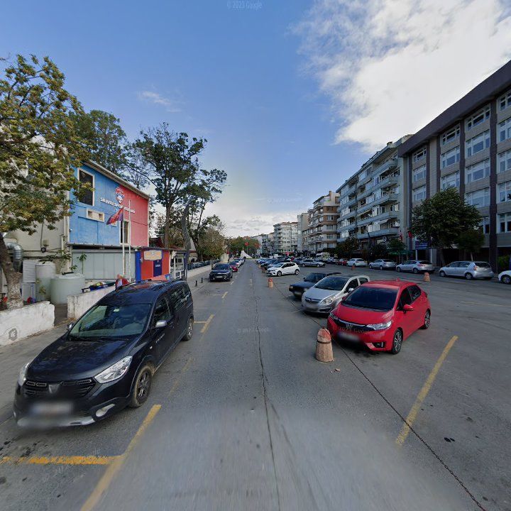 Fotoğraf 9