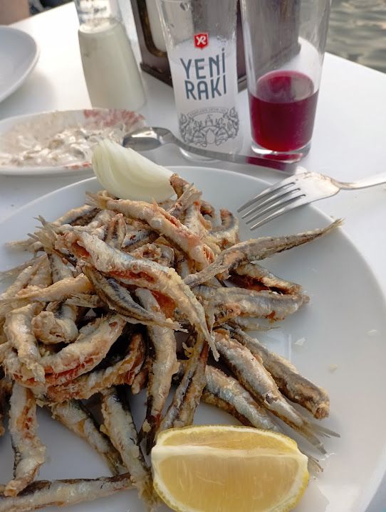 Halit'in Yeri