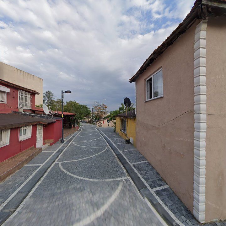 Fotoğraf 9
