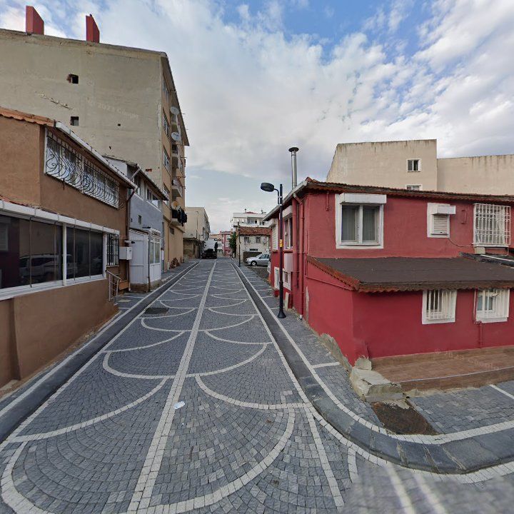 Fotoğraf 8