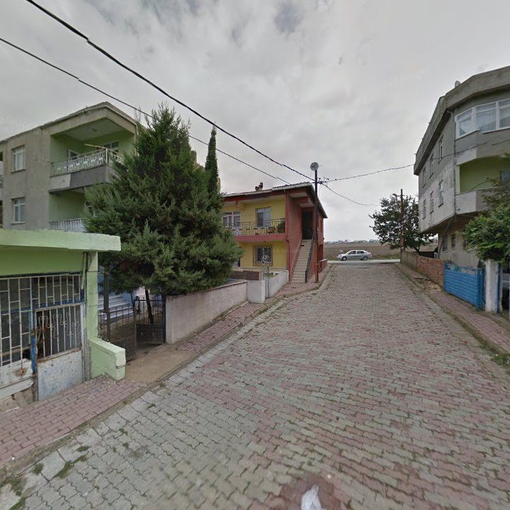 Fotoğraf 8