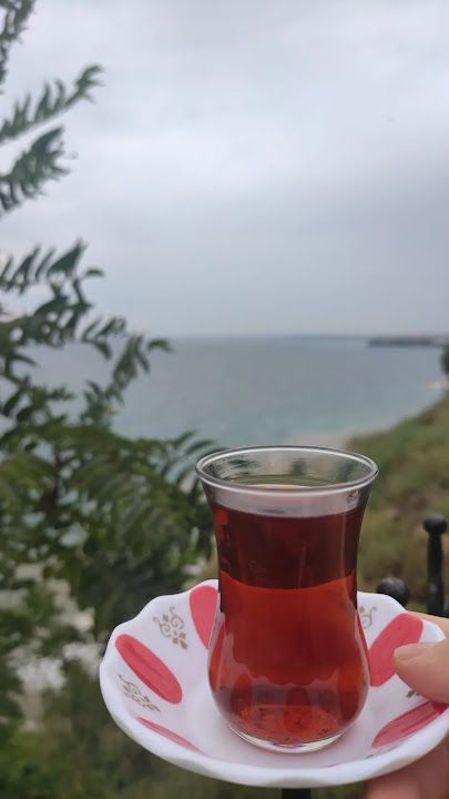 Fotoğraf 41