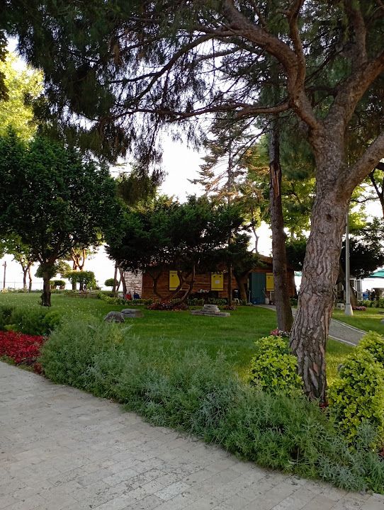 Fotoğraf 59