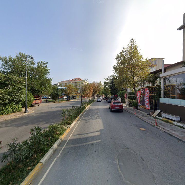 Fotoğraf 11