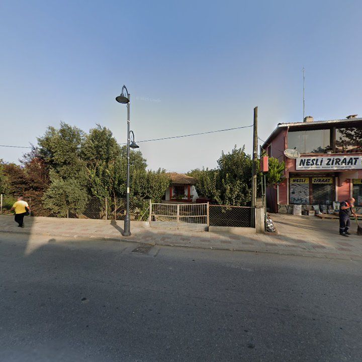 Fotoğraf 7
