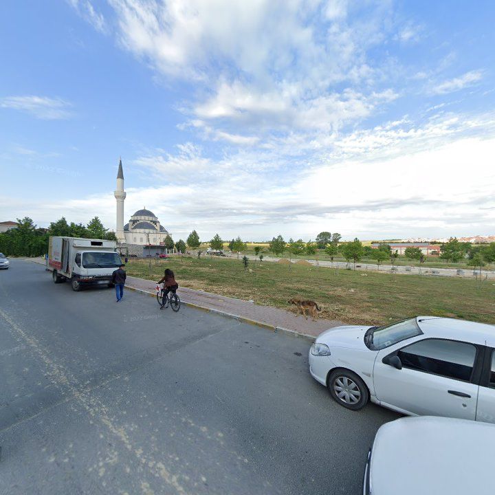 Fotoğraf 8