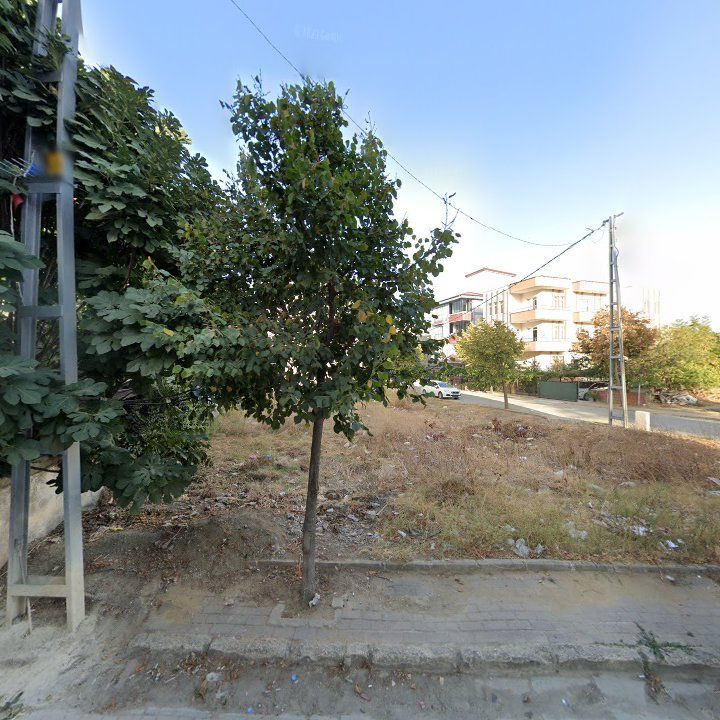 Fotoğraf 8