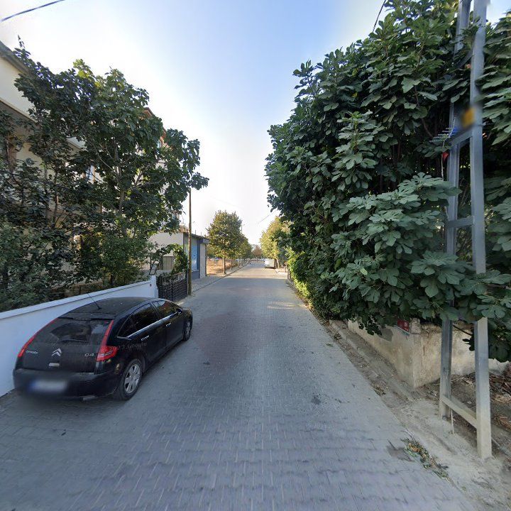 Fotoğraf 7