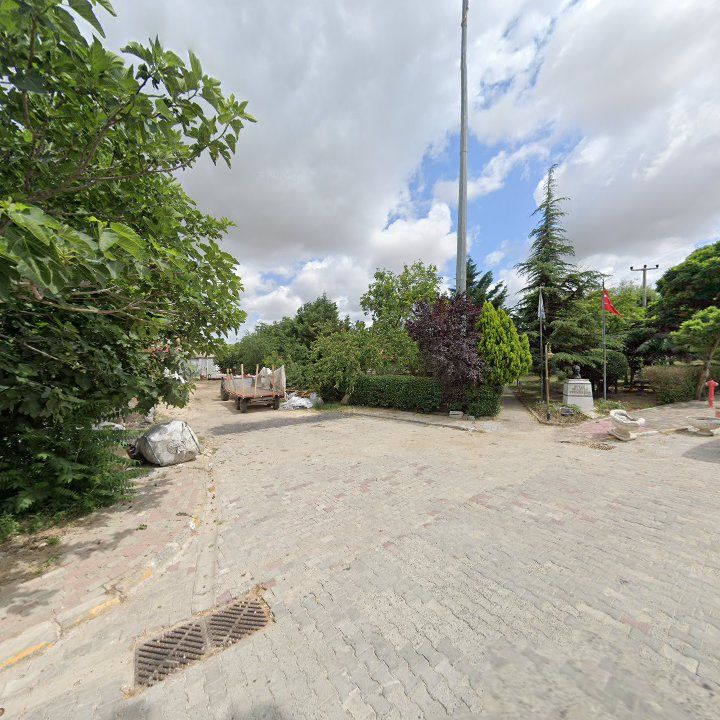 Fotoğraf 5