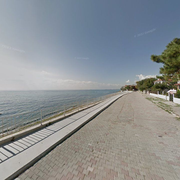 Fotoğraf 10