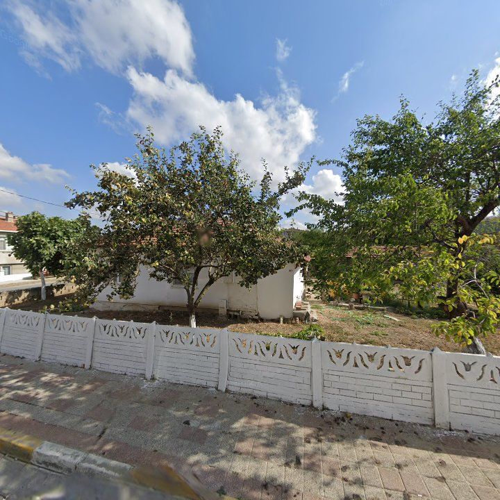 Fotoğraf 6