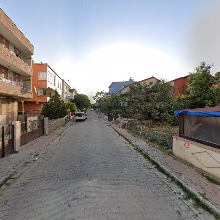 Fotoğraf 7