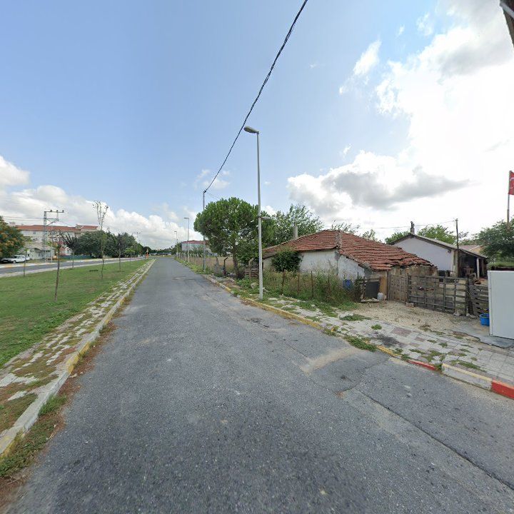 Fotoğraf 10