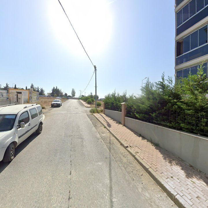 Fotoğraf 10