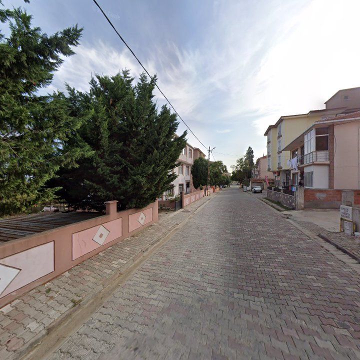 Fotoğraf 10