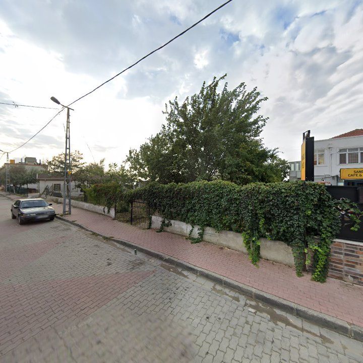 Fotoğraf 12