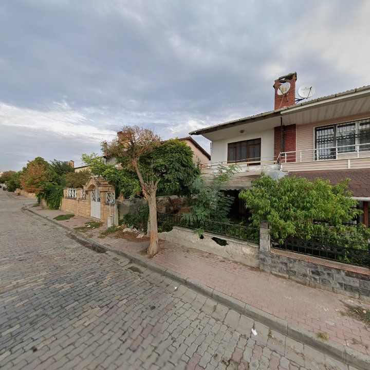 Fotoğraf 10