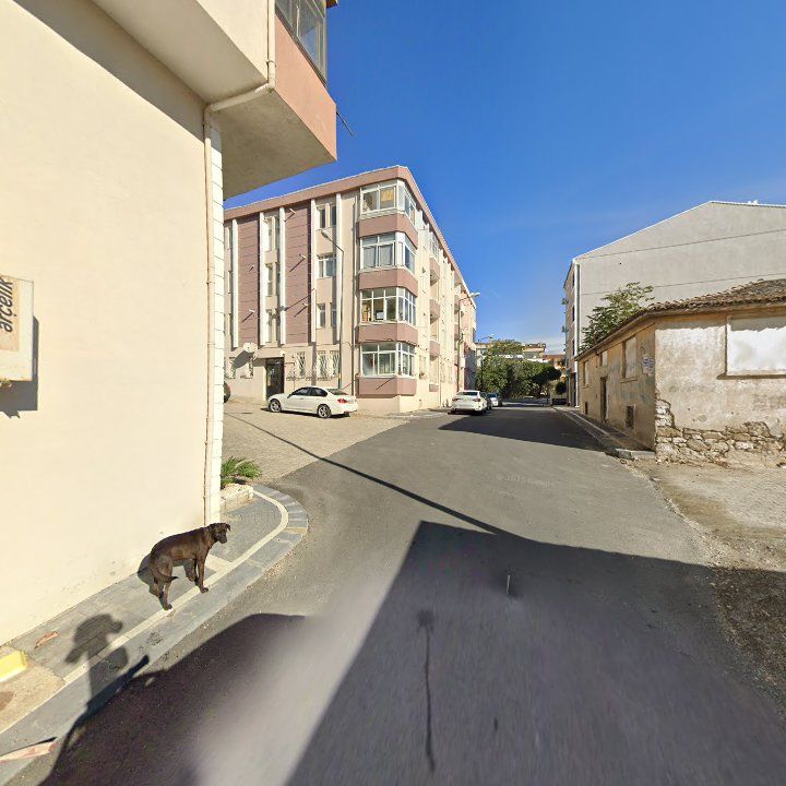 Fotoğraf 5