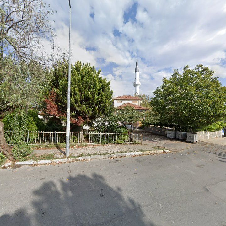 Fotoğraf 7