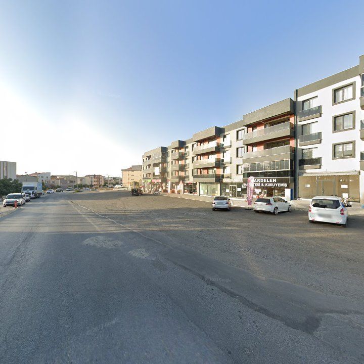 Fotoğraf 7