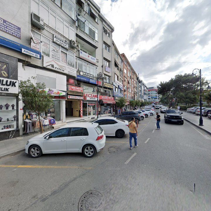 Fotoğraf 11