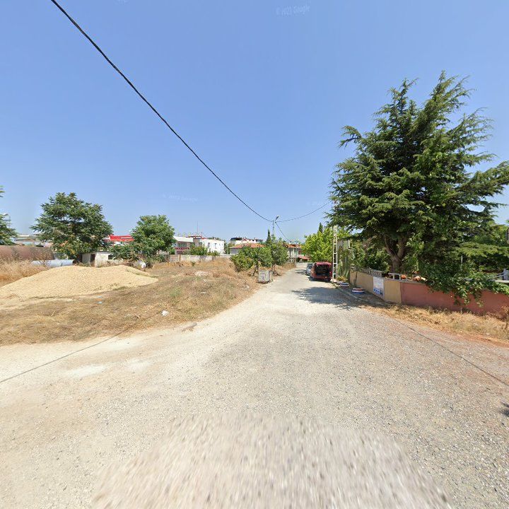 Fotoğraf 7