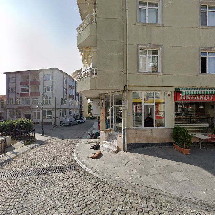 Fotoğraf 11