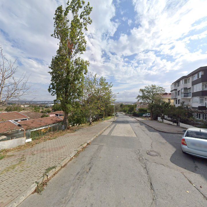 Fotoğraf 7