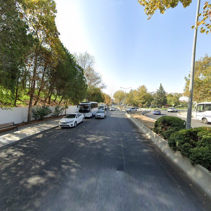 Fotoğraf 10
