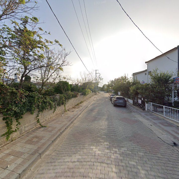 Fotoğraf 9