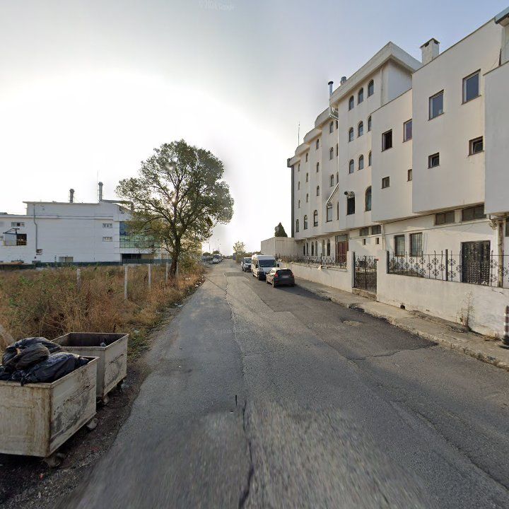 Fotoğraf 8
