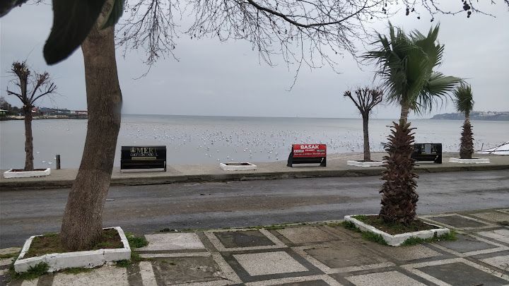 Yorum fotoğrafı 3