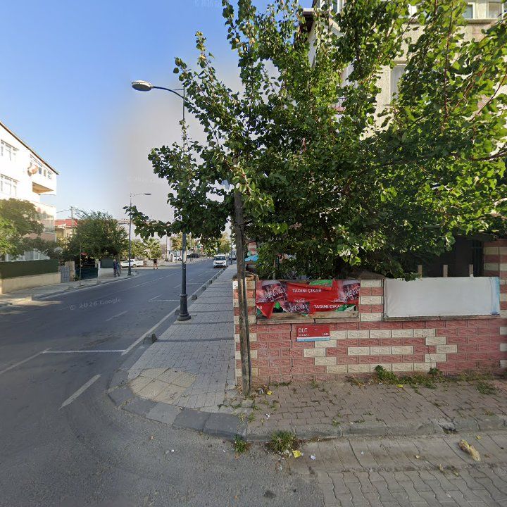 Fotoğraf 14
