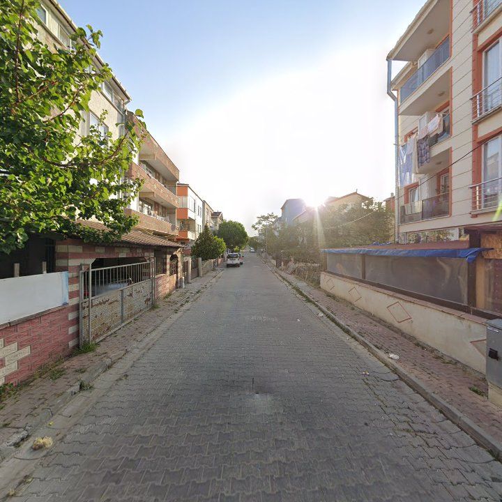 Fotoğraf 15