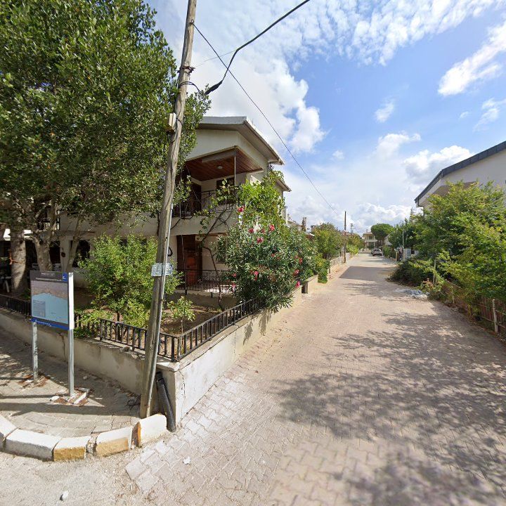 Fotoğraf 8