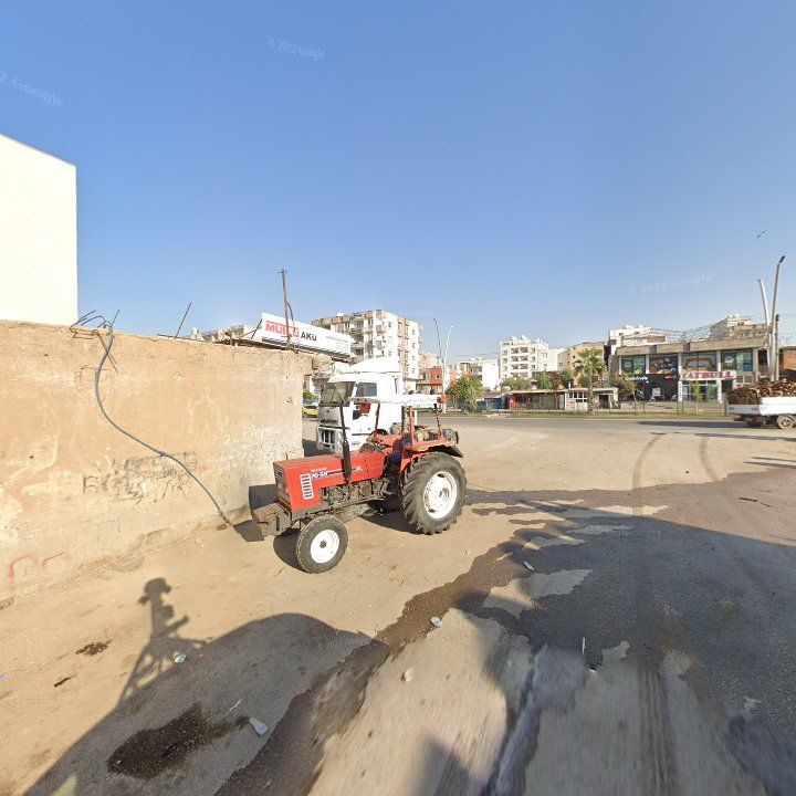 Fotoğraf 5
