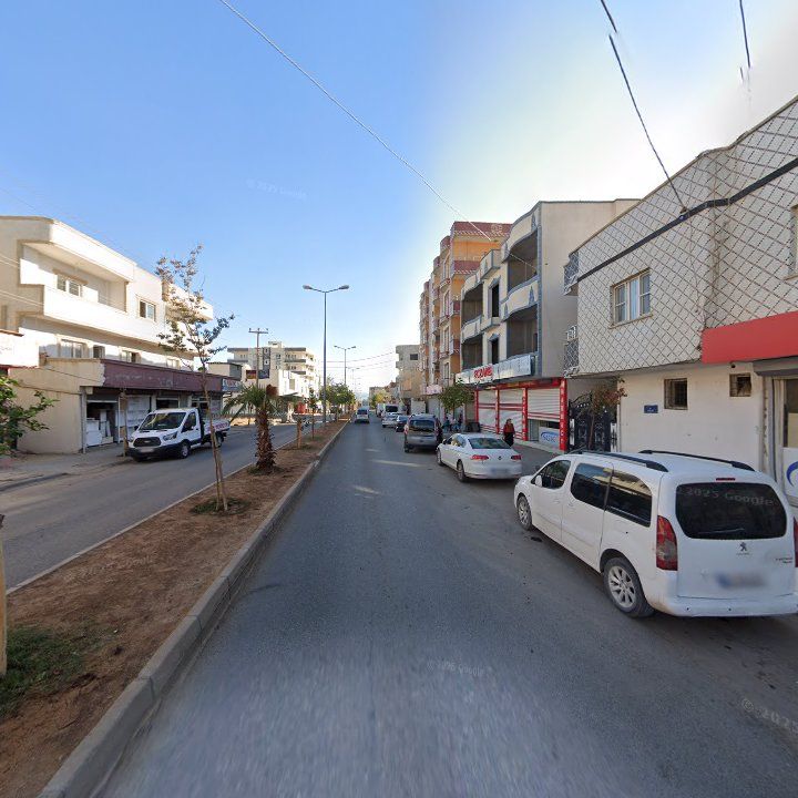 Fotoğraf 4