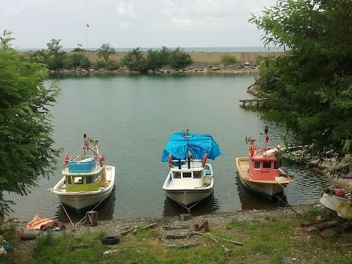 Fotoğraf 8